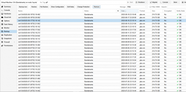 Aba Backup da VM